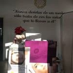 ameroda-estetica-blaneliss-03